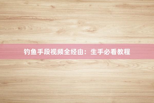 钓鱼手段视频全经由：生手必看教程